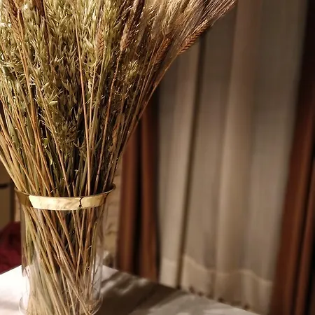 招待所 奥夫布雷庭院酒店 *