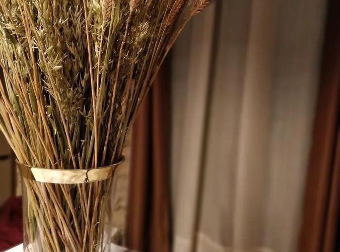 Гостевой дом Patios Del Orfebre *